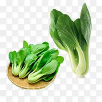 青菜绿色蔬菜免抠蔬菜-空若网 青菜绿色蔬菜免抠蔬菜-空若网
