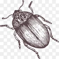 创意手绘昆虫蟑螂-空若网 创意手绘昆虫蟑螂-空若网