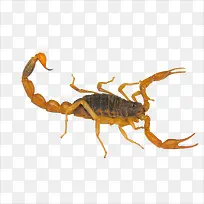 Ы��-������