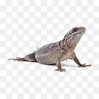 ���涯��-������