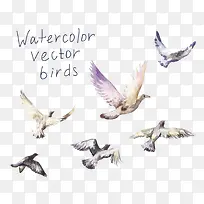 水彩飞鸟-空若网 水彩飞鸟-空若网