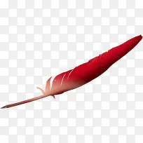 玫红羽毛素材-空若网 玫红羽毛素材-空若网