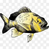 �ֻ溣��-������