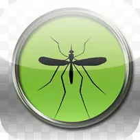 昆虫蚊虫无脊椎动物东盟宣言-蚊子-空若网 昆虫蚊虫无脊椎动物东盟宣言-蚊子-空若网