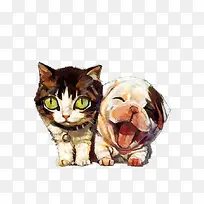 �ֻ涯��è��-������