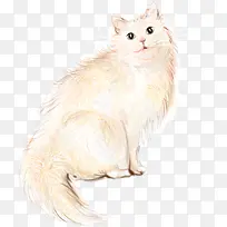 �ֻ�ɰ�è�䰲��-������