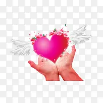 手捧心-空若网 手捧心-空若网