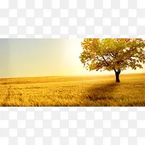 海报背景-空若网 海报背景-空若网