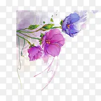 ��ͨ�ֻ�Ψ����-������