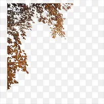 ²Ý»¨±ß-¿ÕÈôÍø ²Ý»¨±ß-¿ÕÈôÍø