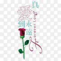 �氮�ز�-������