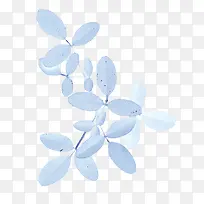 白色叶子图片-空若网 白色叶子图片-空若网