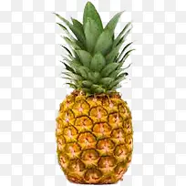 菠萝-空若网 菠萝-空若网