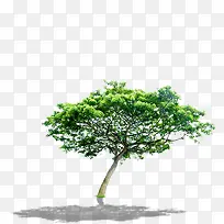 ��-������