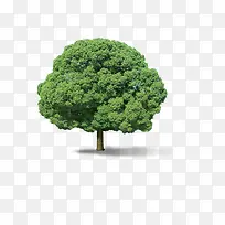 ��-������