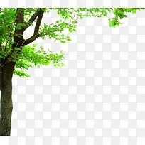 ��-������