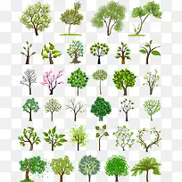 树-空若网 树-空若网