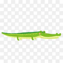 �ֻ�����-������