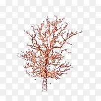 黄色灯树-空若网 黄色灯树-空若网
