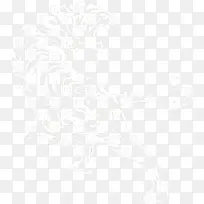 老虎-空若网 老虎-空若网