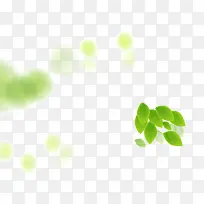 绿色背景-空若网 绿色背景-空若网