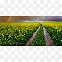 绿色摄影背景-空若网 绿色摄影背景-空若网