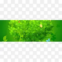 �Ա�����-������