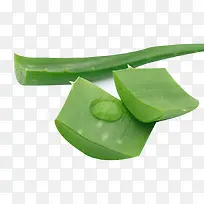 绿色芦荟材料素材-空若网 绿色芦荟材料素材-空若网