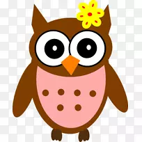 èͷӥ������������-��ͨСèͷӥ-������