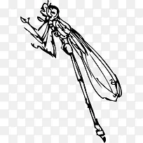 �ֻ�����-������