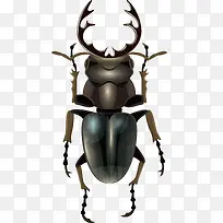 �ֻ�����ʸ��-������