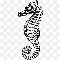 �ֻ溣��-������