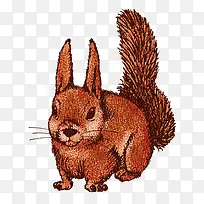 �ֻ�ˮ������-������