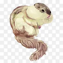 手绘水彩松鼠-空若网 手绘水彩松鼠-空若网