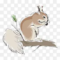 松鼠-空若网 松鼠-空若网