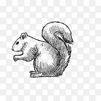 �ֻ�����-������