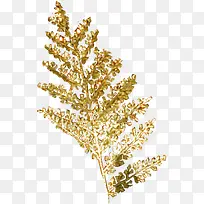 ��ɫ����ľ��֦-������