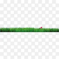 绿草 鲜花 春天-空若网 绿草 鲜花 春天-空若网