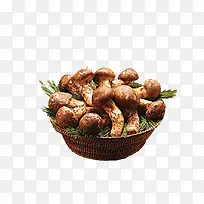 香菇-空若网 香菇-空若网