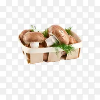 香菇-空若网 香菇-空若网