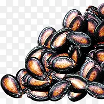 黑色瓜子淘宝促销-空若网 黑色瓜子淘宝促销-空若网