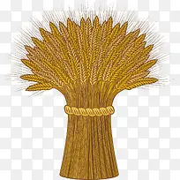 卡通手绘麦穗-空若网 卡通手绘麦穗-空若网