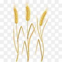 卡通麦穗-空若网 卡通麦穗-空若网