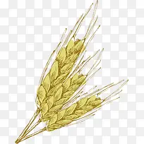 小麦手绘装饰-空若网 小麦手绘装饰-空若网