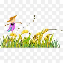 小麦-空若网 小麦-空若网