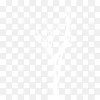 ��-������