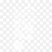 白色花草背景-空若网 白色花草背景-空若网