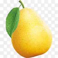 雪梨-空若网 雪梨-空若网