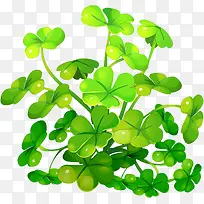 四叶草-空若网 四叶草-空若网