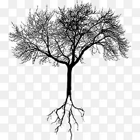 树-空若网 树-空若网